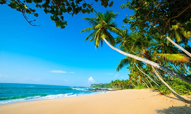 Sri Lanka Vacations
